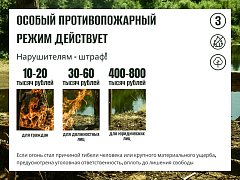 В регионе действует особый противопожарный режим   